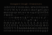 Rengard Rough, a Serif Font by Craft Supply Co. (Thumbnail 8 of 8)