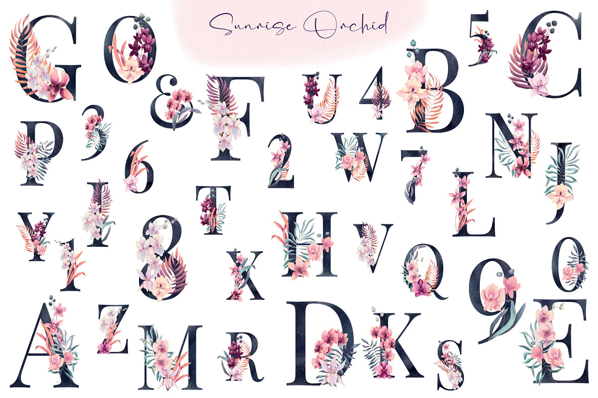 Sunrise Orchid, an Illustration by Salted Galaxy (Photo 3 of 14)