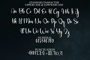 Beauty Night, a Handwritten Font by FreshTypeINK (Thumbnail 5 of 8)