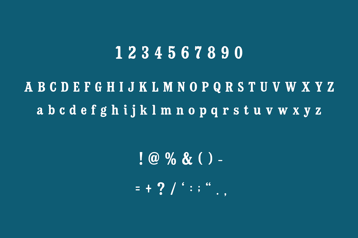 Dustwood Bold Serif Typeface, a Serif Font by RT Studio (Photo 4 of 12)