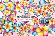 Watercolor Plumeria Clipart Bundle., an Illustration by SVGArt (Thumbnail 1 of 9)