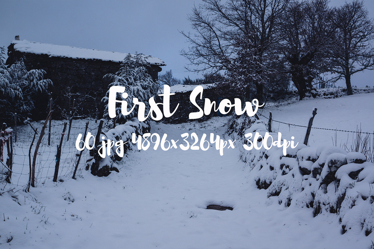 First Snow, a Templates & Theme by ApertureVintage (Photo 25 of 26)