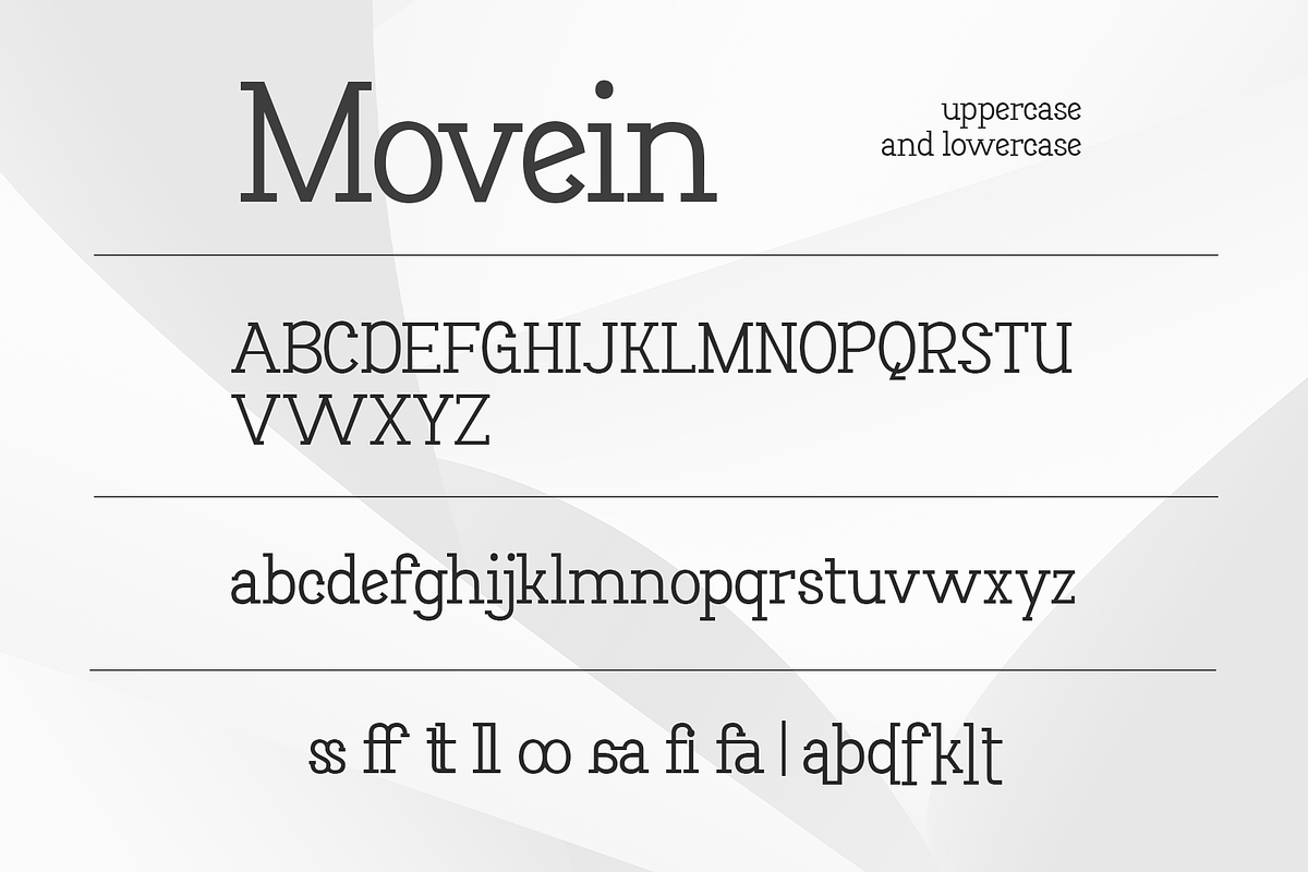 Movein - Slab Serif Display Font, a Slab Serif Font by overlaytemplates (Photo 4 of 5)