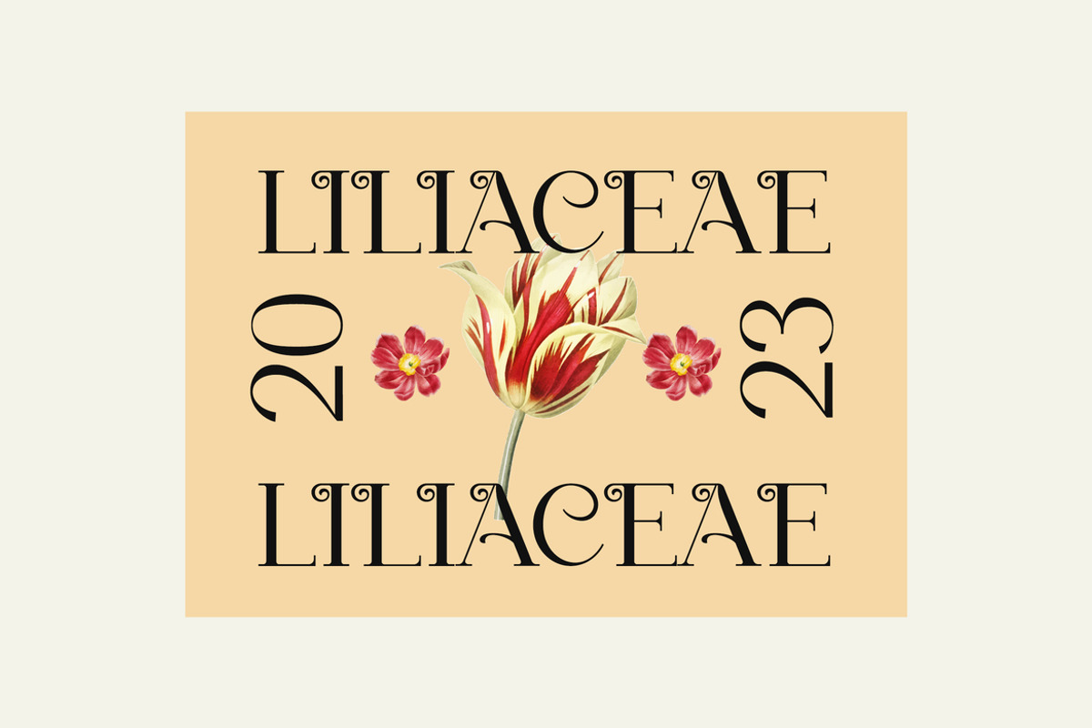 Cabestro Modern Serif Display Font, a Serif Font by UICreative (Photo 5 of 13)