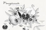 Graphic drawing pomegranate set, a Decorative Illustration by Art AleshkaK (Thumbnail 2 of 3)