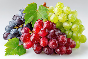 Fresh wet grape bunches in red, green, and black with vine leave, a Holiday Photo by José Manuel Gelpi