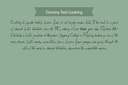 Evolution Font, a Serif Font by Photoshop Action (Thumbnail 6 of 8)