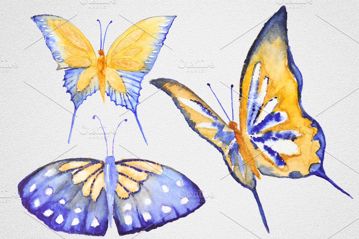 Watercolor Butterfly set #1, an Object Graphic by IvanFet (Photo 8 of 8)