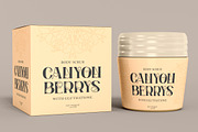 Layla - Display Serif Font, a Sans Serif Font by PutraCetol Studio (Thumbnail 11 of 11)