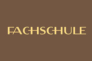 Fellinian - Mid Century Logo Sans, a Sans Serif Font by Anya-D (Thumbnail 6 of 17)