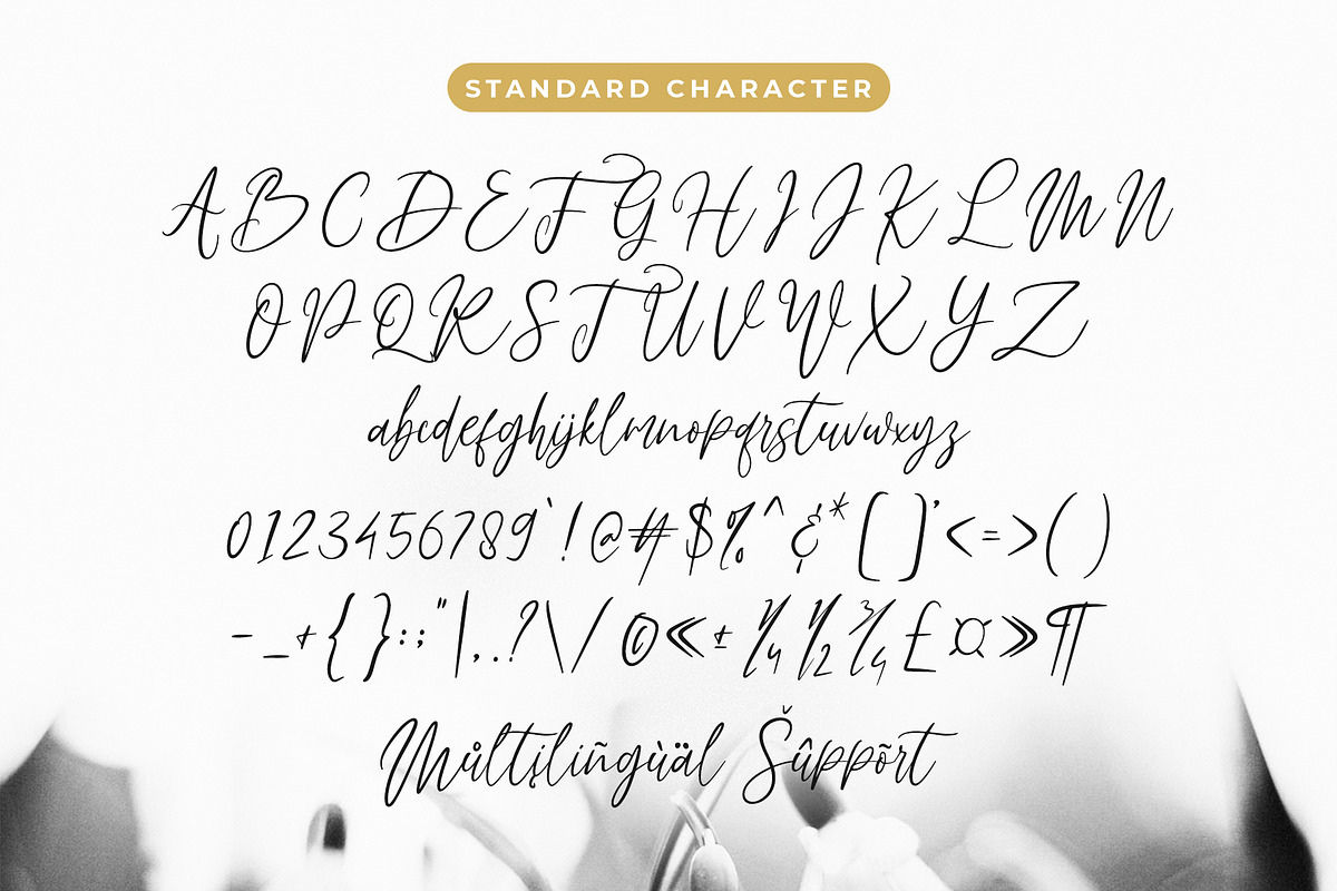 Fadhillah Signature, a Script Font by Gatype (Photo 6 of 7)