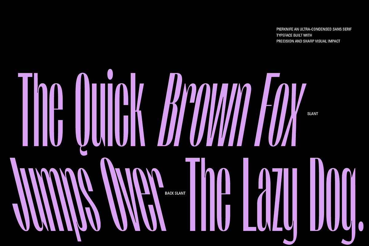 Pierknife | Ultra Condensed Sans, a Sans Serif Font by Jolicia Type (Photo 4 of 14)