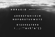 Horacio | A Prestigious Font Family, a Sans Serif Font by Zone 6 (Thumbnail 7 of 8)