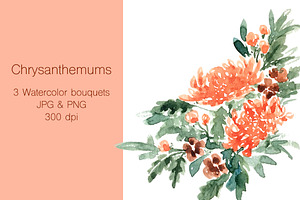 Chrysanthemums - Watercolor clip art