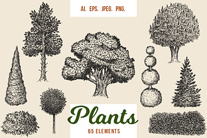 Hand drawn plants, an Object Illustration by CGterminal