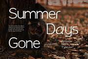 Benomore - Elegant Display Font, a Sans Serif Font by Vadovastd (Thumbnail 6 of 6)
