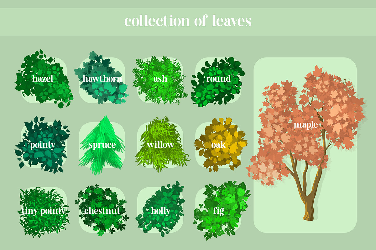 Complete Foliage Kit For Procreate, a Brush Add-On by BrushBoy (Photo 4 of 7)