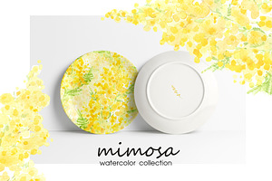 Mimosa. Watercolor Collection.