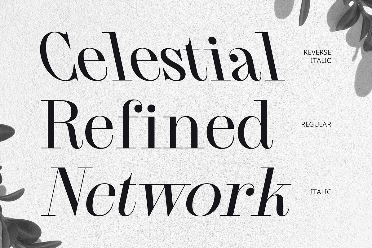 CS Quetzal – Classic Font, a Serif Font by Craft Supply Co. (Photo 6 of 8)