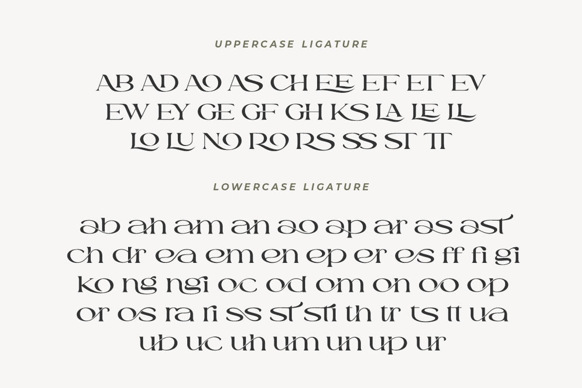 Romla - Elegant and Classy, a Serif Font by HansCo Studio (Photo 11 of 13)