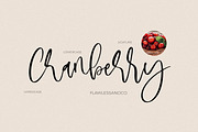 Monday Script, a Script Font by Flawless And Co (Thumbnail 5 of 8)