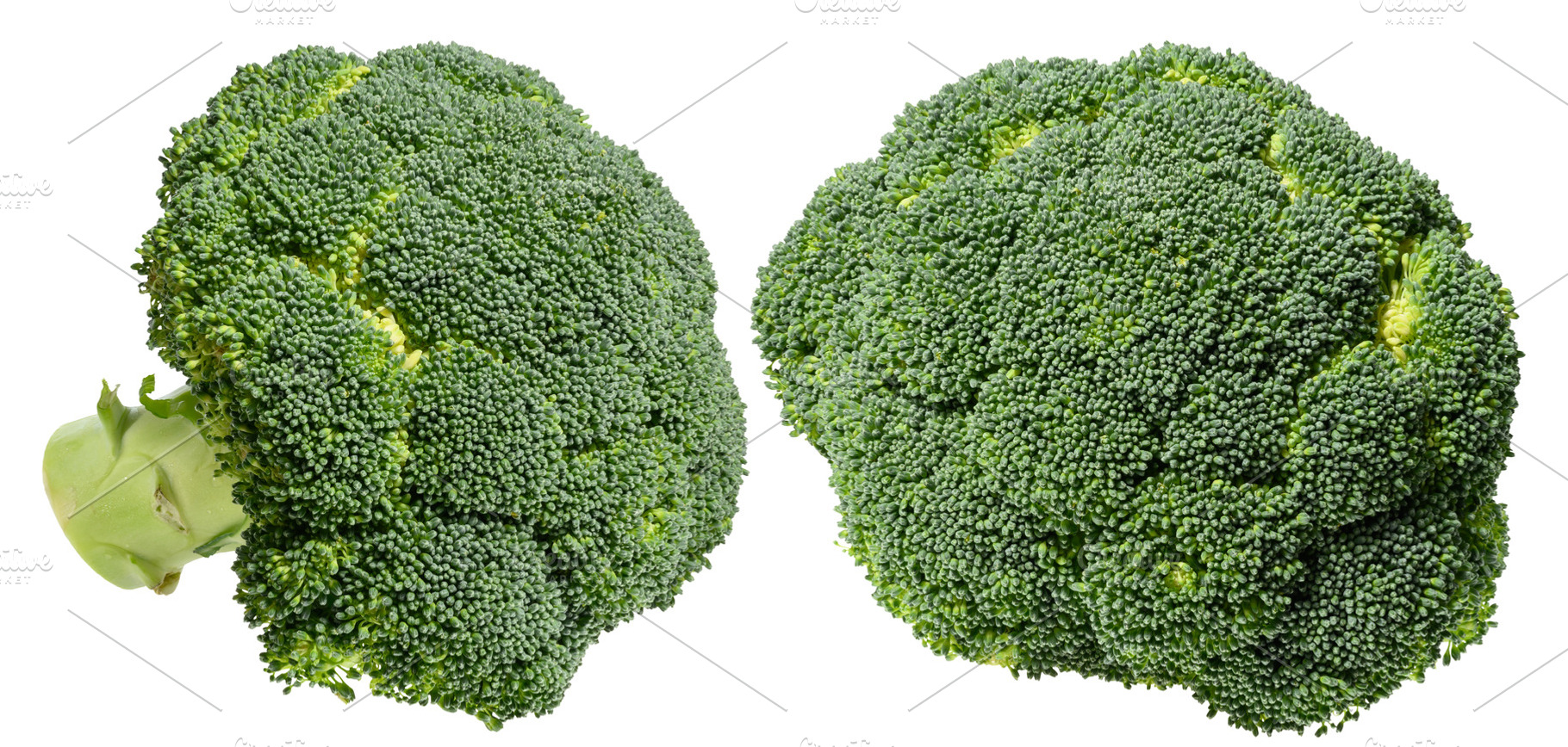 Fresh green broccoli floret with stalk, isolated background. Hea, a Food & Drink Photo by ndanko