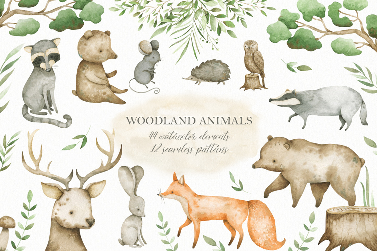 Watercolor woodland animals set, an Animal Illustration by OrangePeafowlArt (Photo 1 of 14)