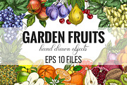 Garden Fruits, vector collection, a Food Illustration by JSolomatina (Thumbnail 1 of 6)