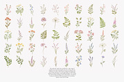 a wildflower meadow clipart set, a Decorative Illustration by Patishop Art (Thumbnail 12 of 12)