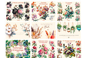 Flowers 50 cliparts, big Bundle, a Decorative Illustration by Hello My Print (Thumbnail 5 of 10)