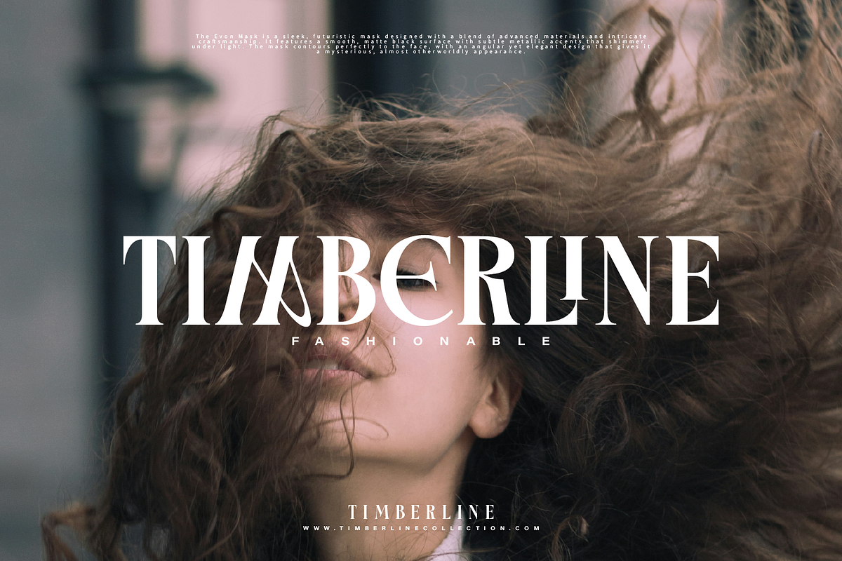Micilage - Serif Display Typeface, a Serif Font by Comactype Foundry (Photo 15 of 20)