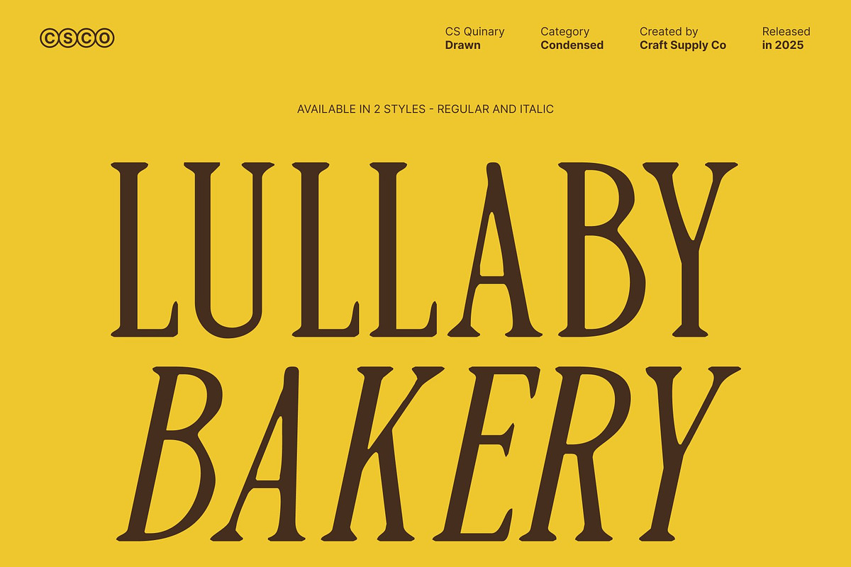 CS Quinary Drawn, a Serif Font by Craft Supply Co. (Photo 4 of 8)