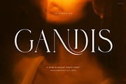 Gandis Elegant Serif Font, a Serif Font by Elegant Font (Thumbnail 1 of 8)