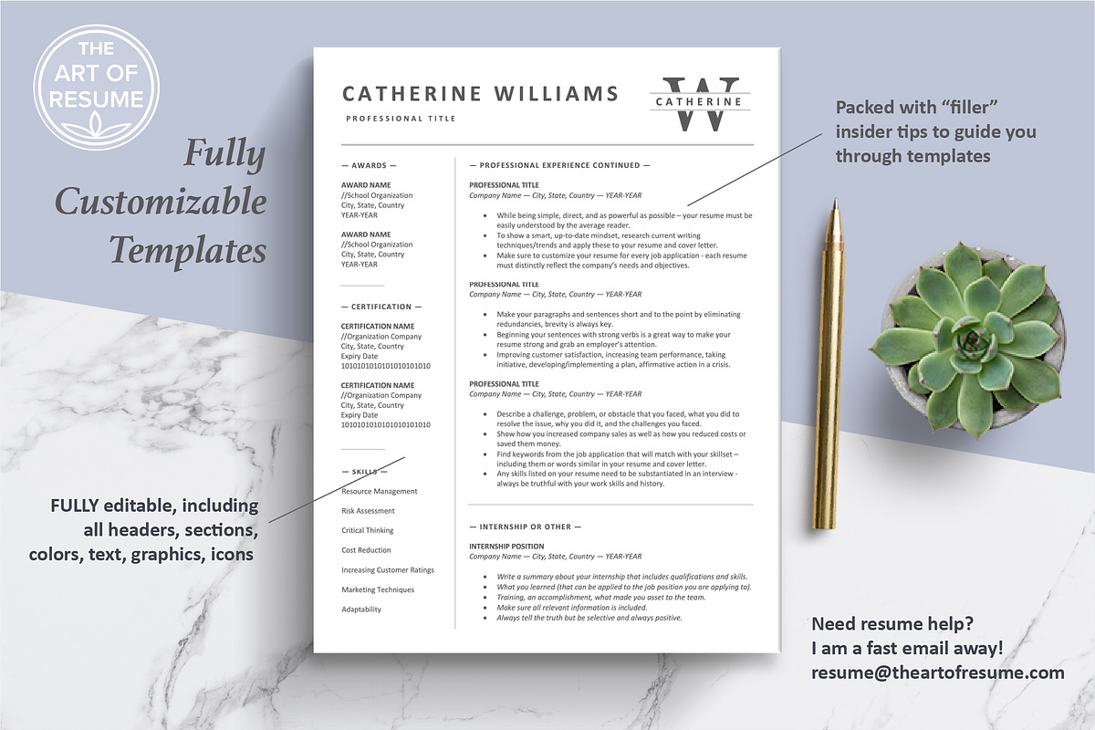 Executive Resume, Business Resume CV, a Resume Template by The Art of Resume (Photo 3 of 8)