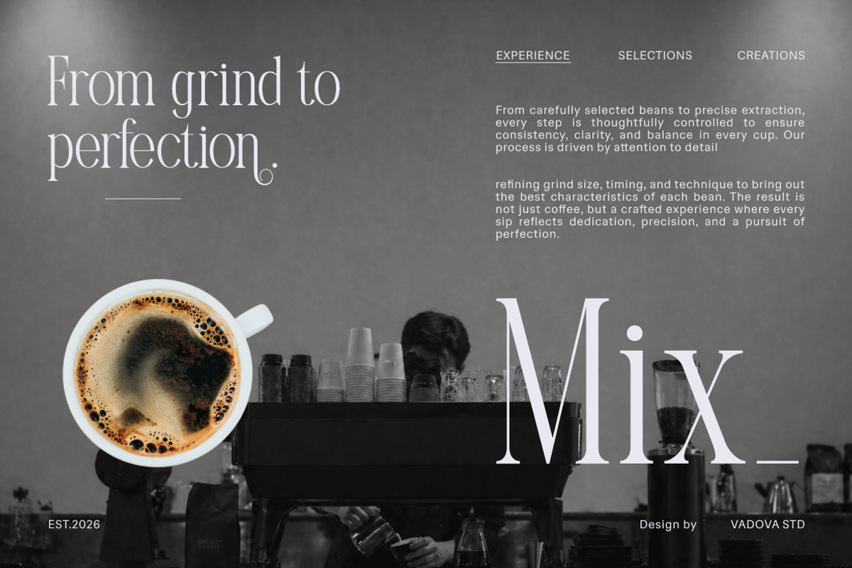 Melarune Modern Elegant Serif Font, a Serif Font by Vadovastd (Photo 6 of 10)