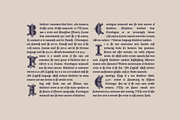 Latin Initials Gothic font family, a Blackletter Font by kaer_shop (Thumbnail 11 of 12)