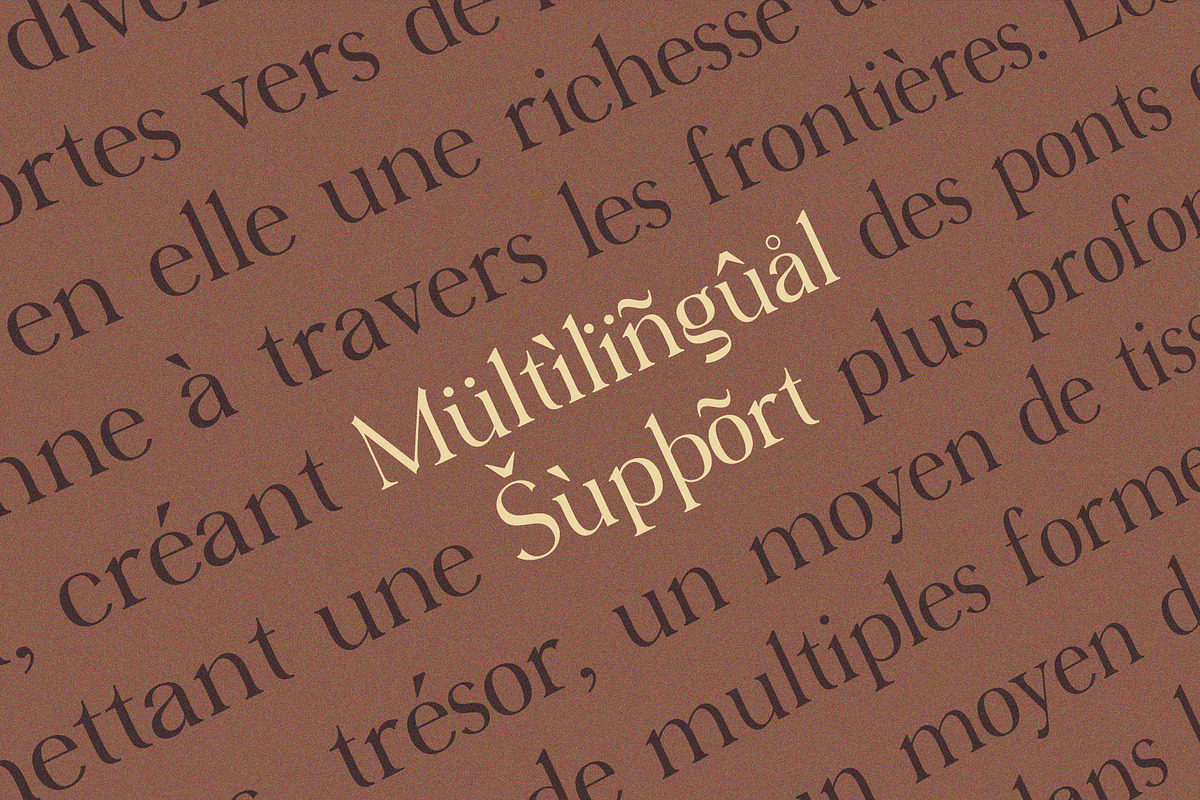 Virendra Pro - Modern Serif Font, a Serif Font by Hakara Type (Photo 14 of 15)