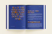 MN Managa Serif - Contemporary Serif, a Serif Font by Mantra Naga (Thumbnail 3 of 18)
