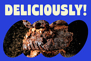 Sweet Crunch - Playful Display Font, a Font by Studio Moara (Thumbnail 5 of 8)