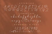 Estela Silva- Handwriting Font, a Handwritten Font by Mayofont (Thumbnail 7 of 7)