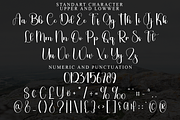 Digitalis, a Handwritten Font by FreshTypeINK (Thumbnail 3 of 8)