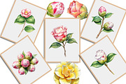 Camellia Flower Bloom PNG Clipart, an Illustration by Creative Art (Thumbnail 9 of 10)