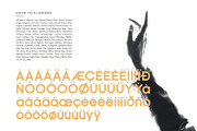 Vilane, a Script Font by din-studio.com (Thumbnail 9 of 11)
