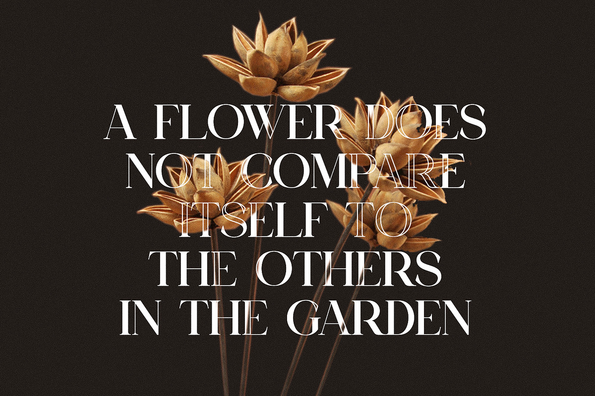 Kasir Elegant Serif Font Typeface, a Serif Font by Perfectype (Photo 3 of 7)