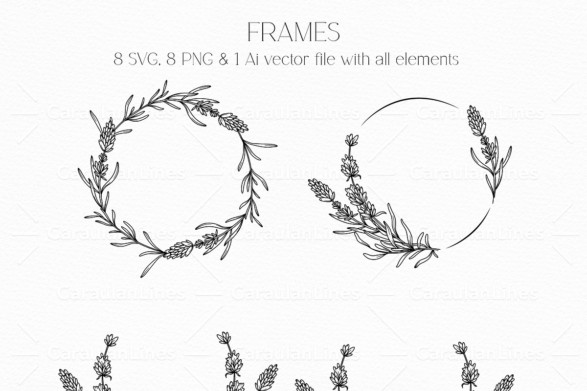 Lavender Clipart Line Art, an Object Graphic by CaraulanStore (Photo 3 of 10)