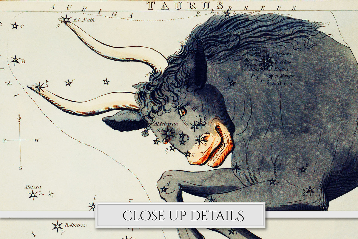 Vintage Astrology Illustrations, an Illustration by Secret Helper (Photo 6 of 9)