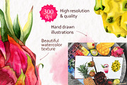 Tropical Dragon Fruit Pitaya Clipart, a Food Illustration by Elena Malgina Clipart (Thumbnail 3 of 12)