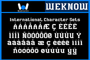 Black Bird font, a Blackletter Font by weknow (Thumbnail 6 of 8)