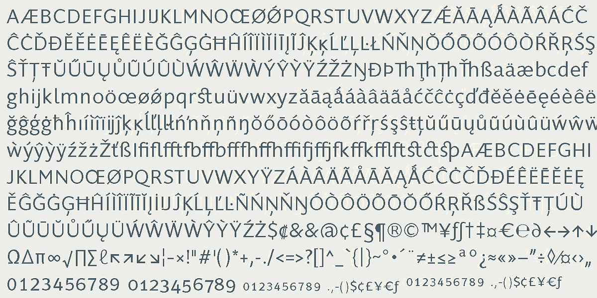 Supra Classic, a Sans Serif Font by Wiescher-Design (Photo 8 of 9)