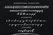 Balleence, a Script Font by Goresan Studio (Thumbnail 12 of 15)